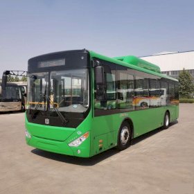 Автобус Zhong Tong 6105